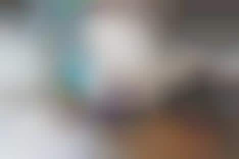 Parisian Sneaker Shops