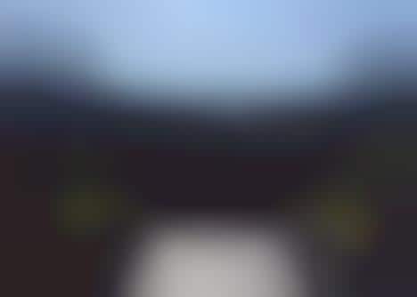 Ballpark Edible Gardens