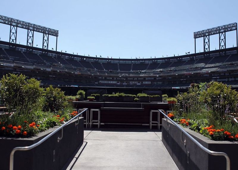Ballpark Edible Gardens