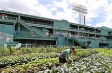 Ballpark Rooftop Gardens