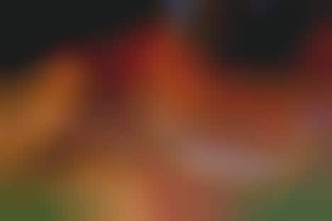 Holiday Turkey Burgers