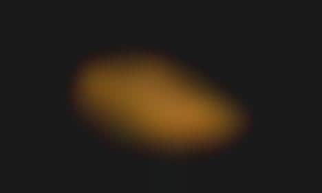 Co-Branded Skate Sneakers