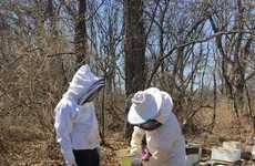 Ex-Offender Beekeeping Programs