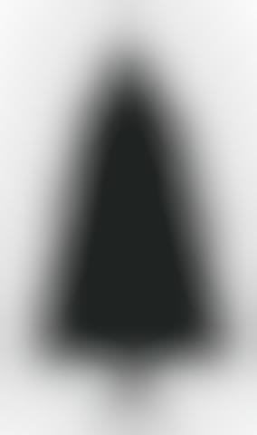 Black Christmas Tree