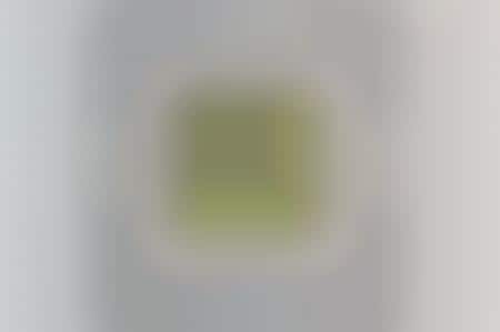 Finger Print Art