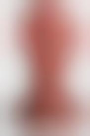 Celebrity Butt Plugs?