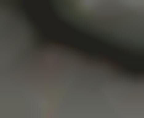 Gmaps Pedometer