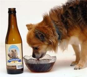 Doggie Beer