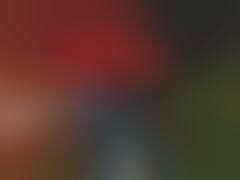 Pimped Out Toilet Has Video Games, DVD, Beer Tap