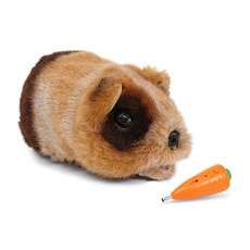 Gupi the Robot Guinea Pig