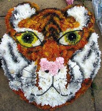 Bizarre Burial Bouquets Image 5
