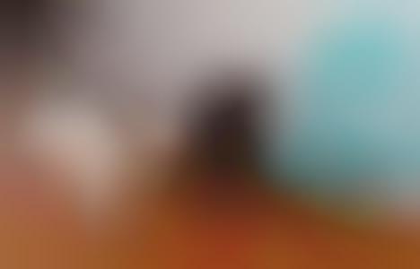 Wall-Mounted Pet Feeders