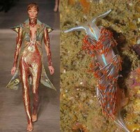 Fashion Darwinism Image 2