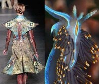 Fashion Darwinism Image 4