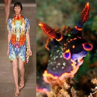 Fashion Darwinism Image 6