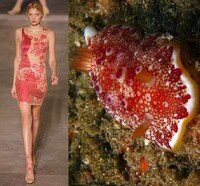 Fashion Darwinism Image 7