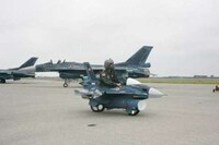 Military Stress Relievers Image 4