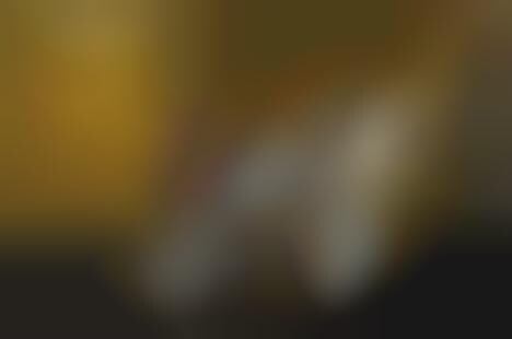 Tattoo-Inspired Skateboards