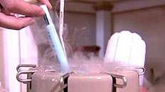 Sperm Donor Shortages
