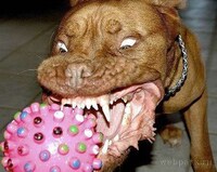 Cave-Mouth Canines Image 2