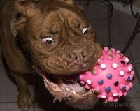 Cave-Mouth Canines Image 3