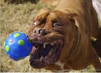 Cave-Mouth Canines Image 6