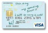100 Designer Credit Cards Image 4
