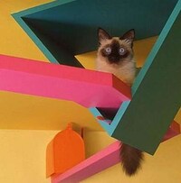 Extreme Petitecture Image 5