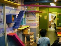 Extreme Petitecture Image 8