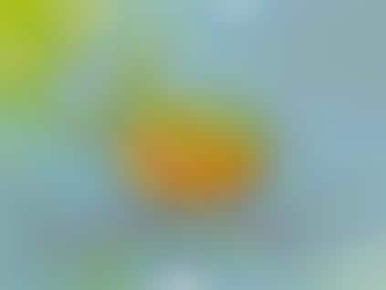 Anime Government Messages