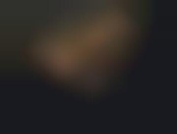 Protesting Horse-Drawn Carriages