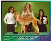 Pets as Art Mediums Image 3