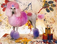 Pets as Art Mediums Image 4