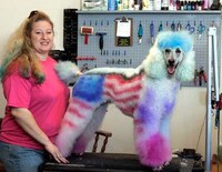 Pets as Art Mediums Image 8