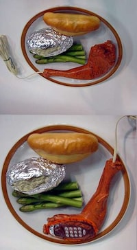 Silly Thanksgiving Gimmicks Image 5