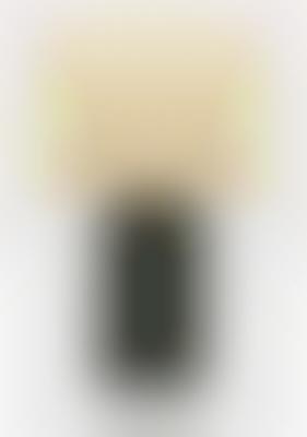 Iluminated Speakers