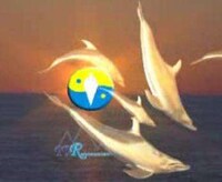 Rejuvenation Cruises