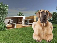 £250,000 Canine Kennels Image 2