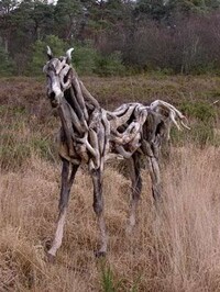 Equestrian Sculpting Image 4