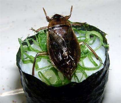 47 Unusual Japanese Foods