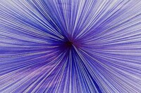 Ballpoint Pen Artwork Image 2