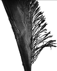 Roadside Rubber as Art Image 3