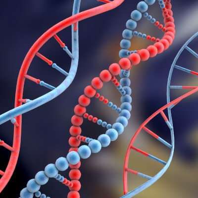 28 DNA Innovations