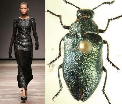 15 Nature-Inspired Fashion Collections