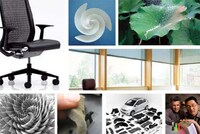 Biomimicry to Solve Problems Image 2