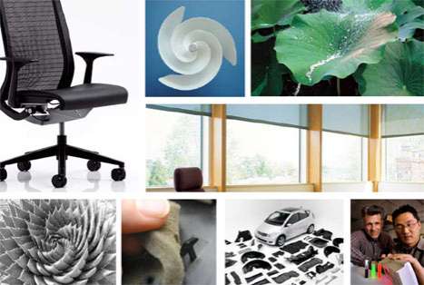 Biomimicry to Solve Problems Image 2