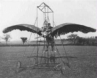 Biomimicry to Solve Problems Image 3