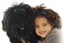 19 Petography Collections and Animal-Inspired Art