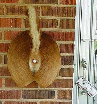 Redneck Doorbells