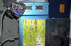 Beer Made in Space